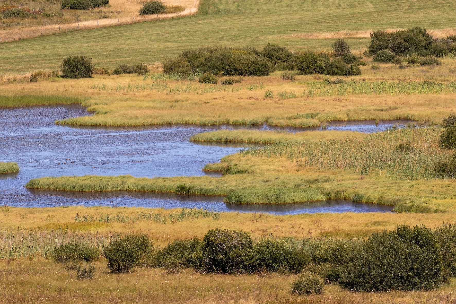 Tourbières du Jolan et de la Gazelle à Ségur-les-Villas dans le Cantal 