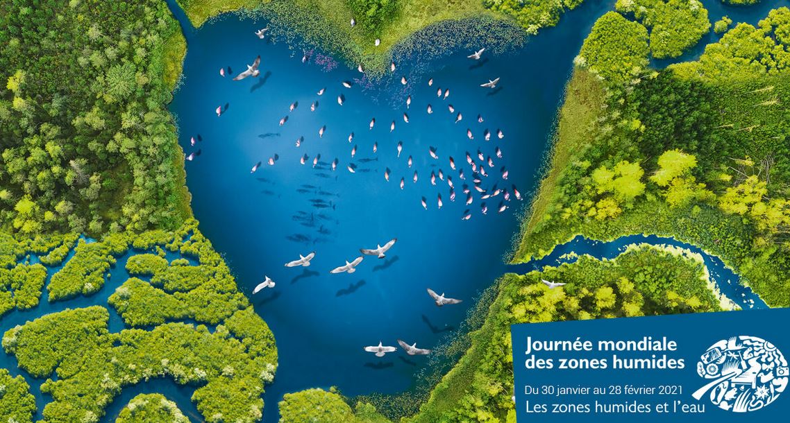 journée mondiale des zones humides