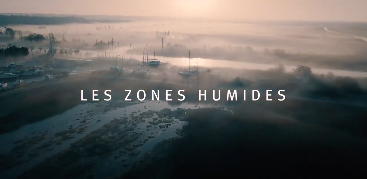 Afficher la vidéo Les zones humides du bassin Adour-Garonne 