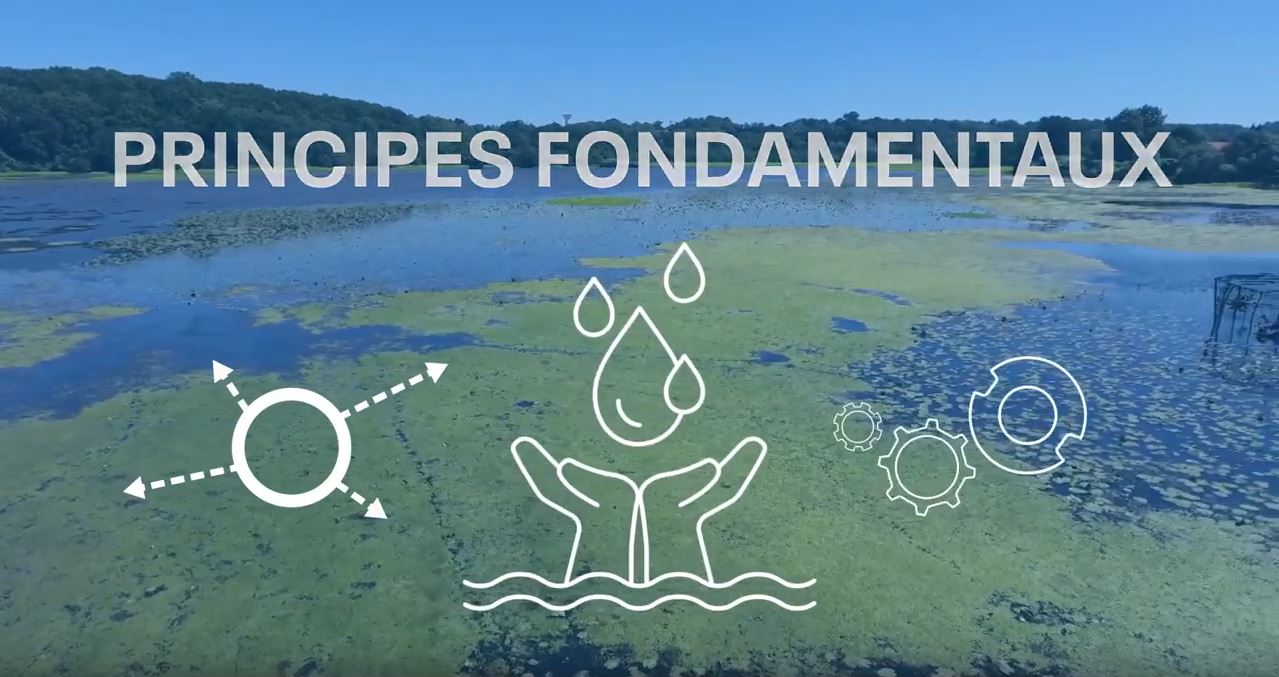 Afficher la vidéo Les principes fondamentaux et grandes orientations du projet SDAGE-PDM 2022-2027