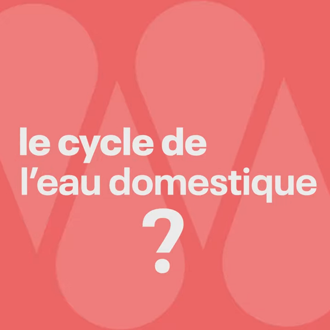 Afficher la vidéo Connaissez-vous le cycle domestique de l'eau ou "petit cycle de l'eau" ?