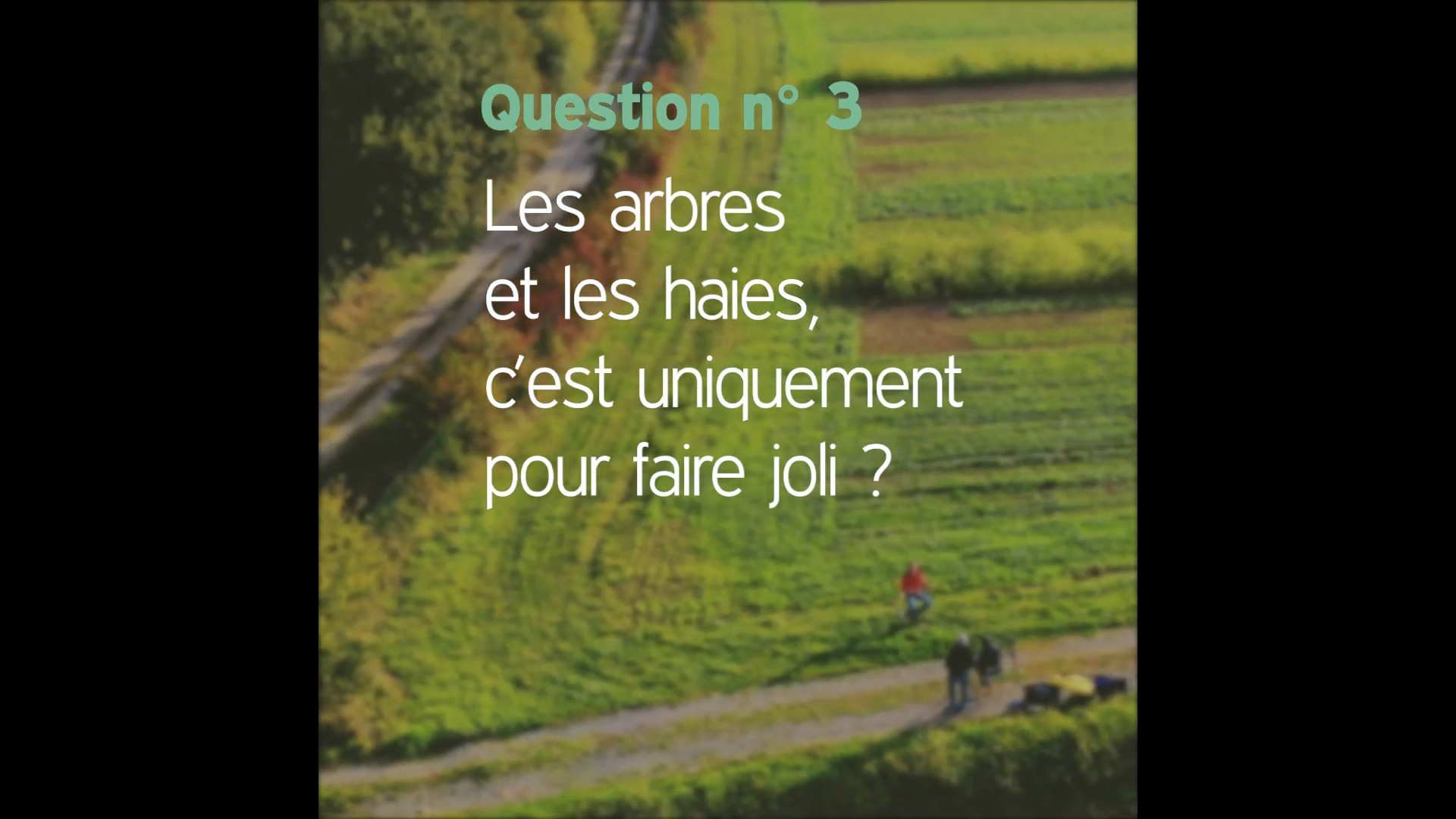 Afficher la vidéo Question n°3 : Les arbres et les haies, c'est uniquement pour faire joli ?