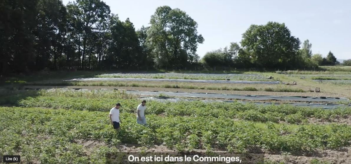 Afficher la vidéo 1,5 hectare de bonnes pratiques agricoles
