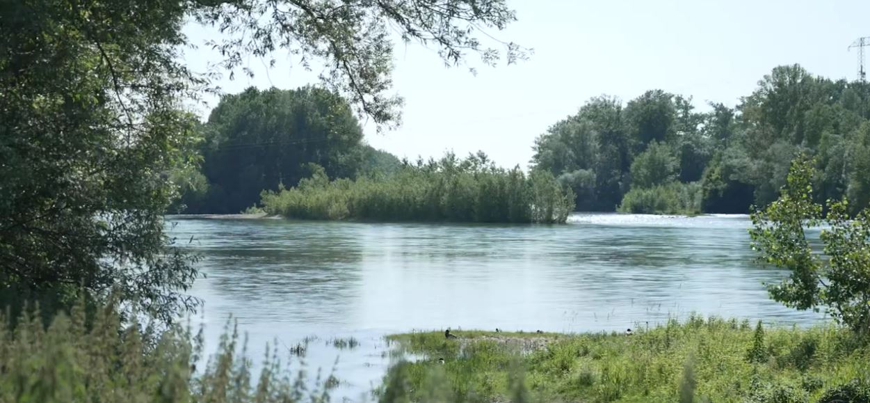 Réserve Naturelle confluence Garonne-Ariège