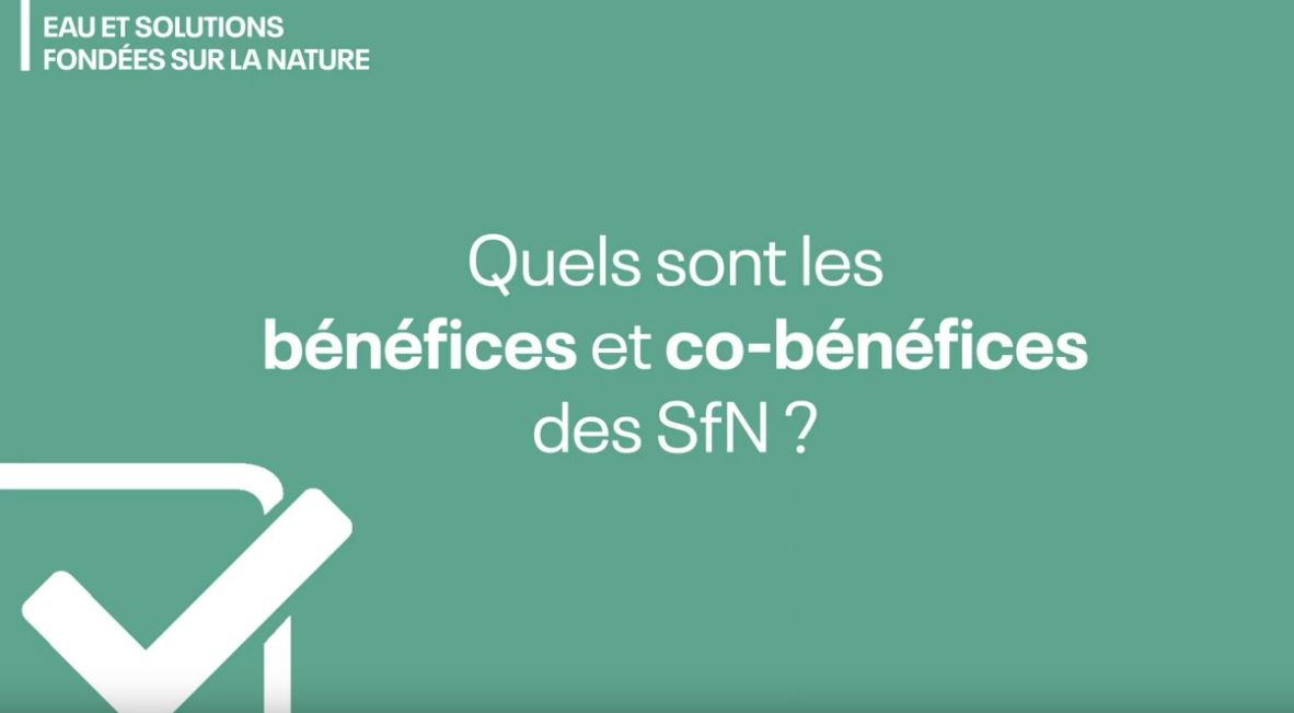 Afficher la vidéo Solutions fondées sur la Nature : interview de Sylvie Jego de l'agence de l'eau Adour-Garonne