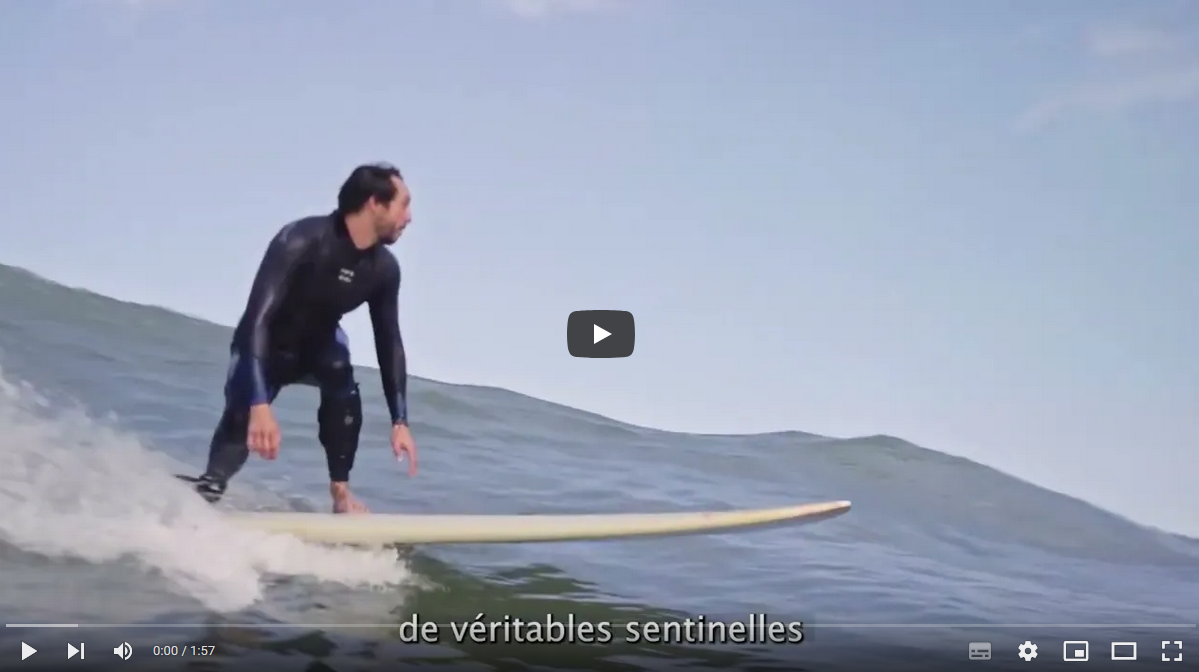 Afficher la vidéo Projet Curl