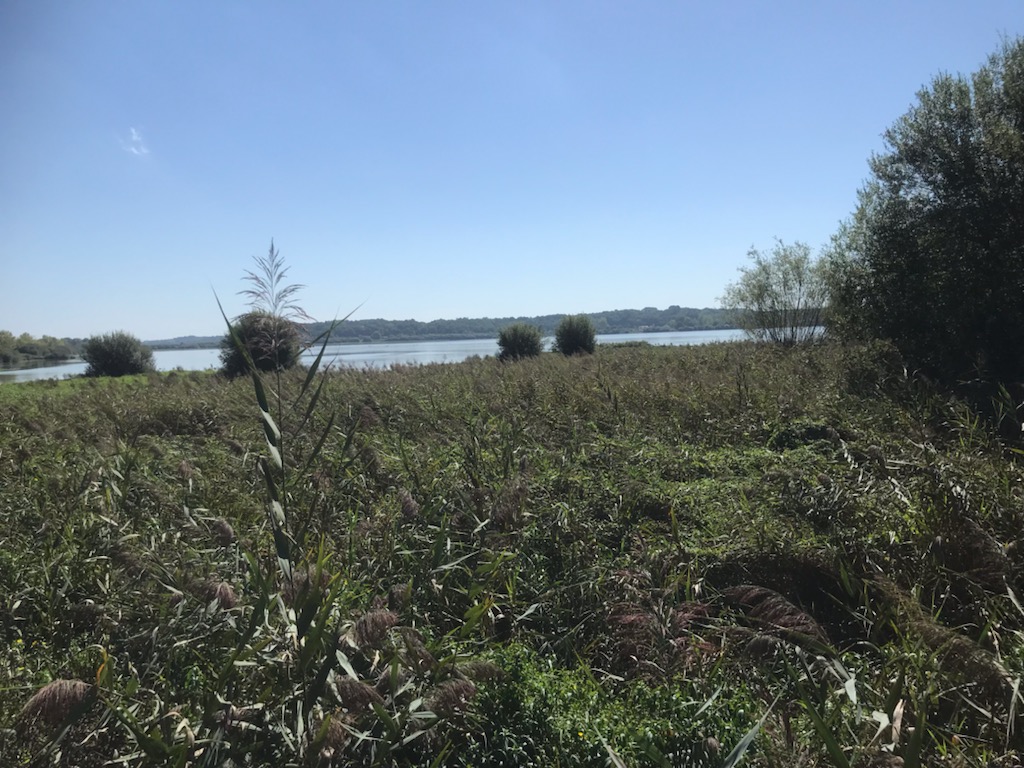 Réserve naturelle nationale d’Arjuzanx