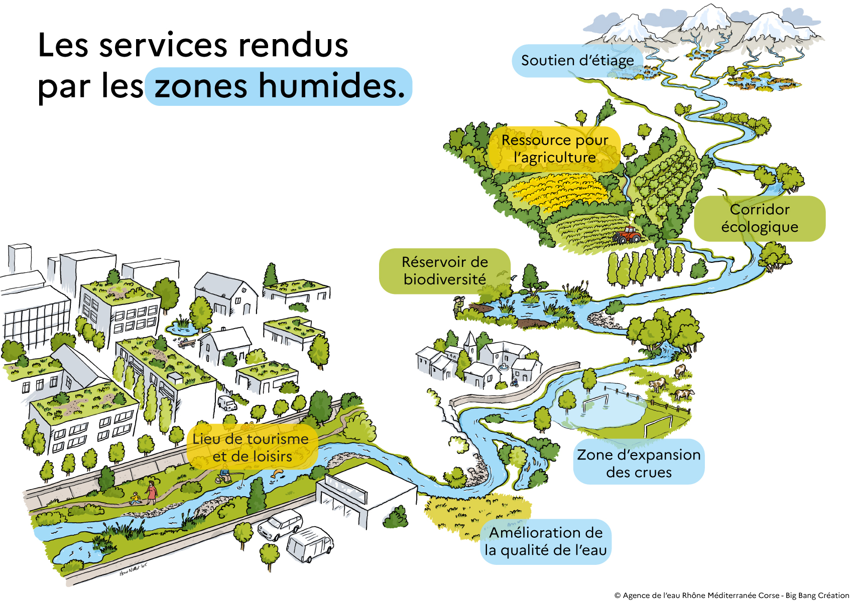 Les services rendus par les zones humides