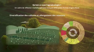 Afficher la vidéo Qu'est-ce que l'agroécologie ?