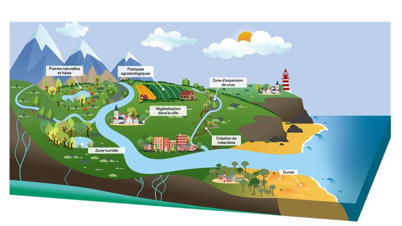 Afficher la vidéo Les Solutions fondées sur la Nature dans un bassin versant