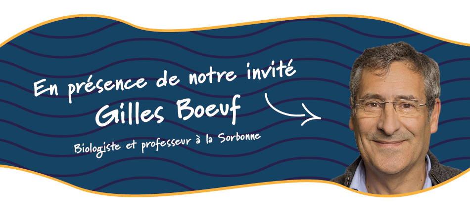 Invitation gilles bœuf v3