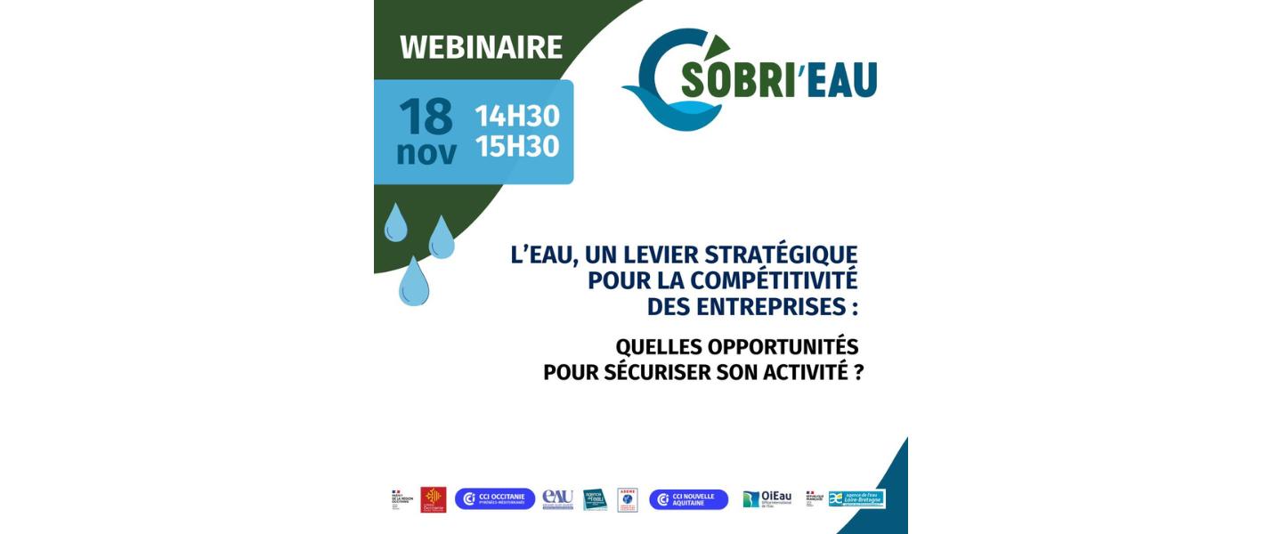 Affiche webinaire