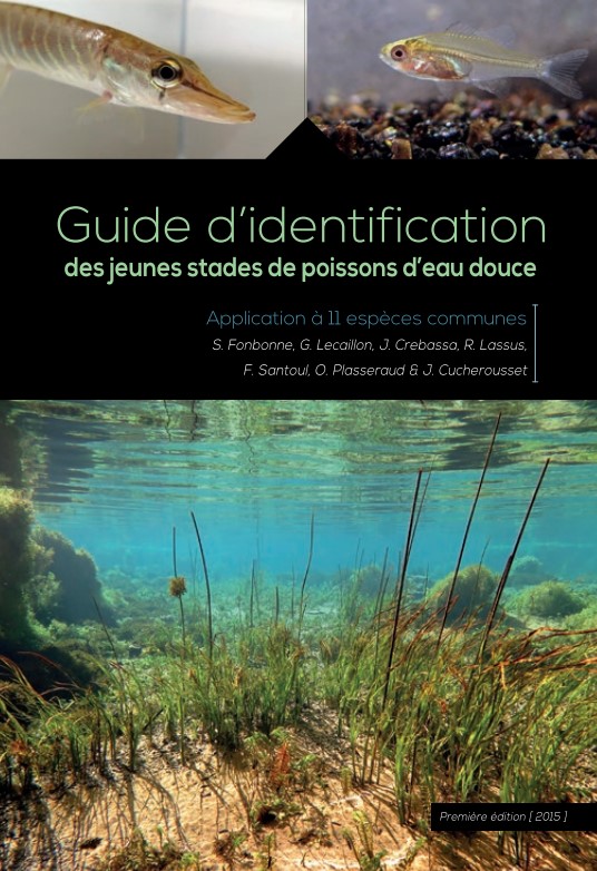 guide d'identification des jeunes stades de poissons d'eau douce